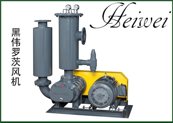 黑伟罗茨风机-1